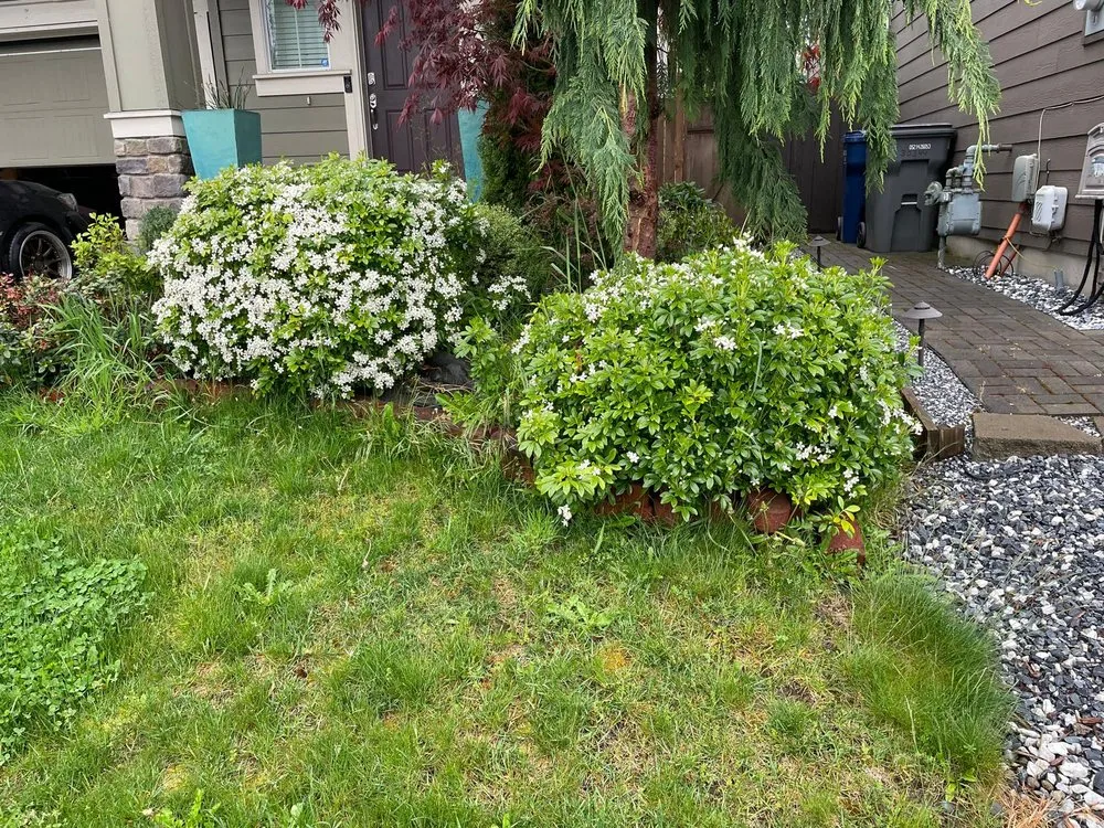 Top-rated outdoor landscaping experts serving Kent, WA - Mar Landscaping & Construction