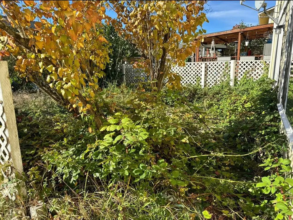 Top-rated yard maintenance experts serving Kent, WA - Mar Landscaping & Construction