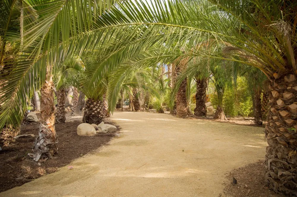 Professional yard cleanup service for homes in Ojai, CA by Mar Lawn & Landscape