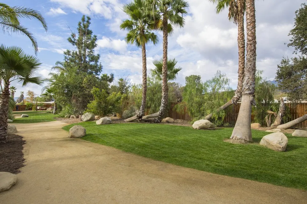Affordable yard maintenance experts serving Ojai, CA - Mar Lawn & Landscape
