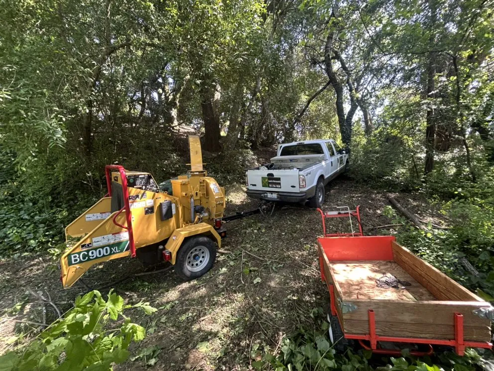 Top-rated landscaping services in Cloverdale, CA by Mara land management