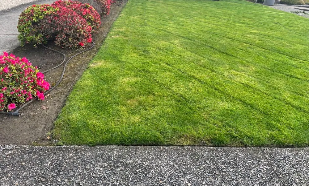 Custom garden landscaping in Ridgefield, WA - Marak Landscape and Construction