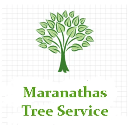 Top-rated yard maintenance in Greenville, SC - Maranathas Tree Service