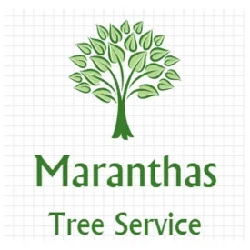 Custom yard cleanup service in Greenville, SC by Maranathas Tree Service