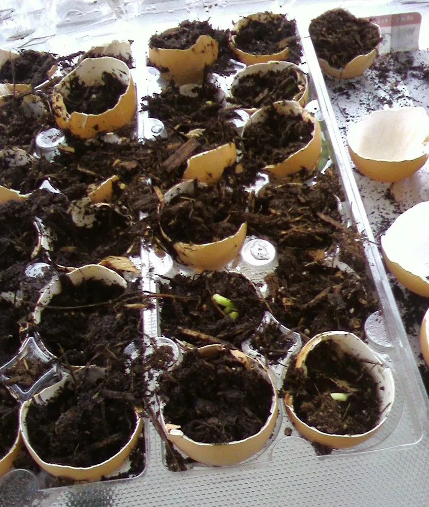 Custom garden landscaping for beautiful yards across Littlestown, PA - Marann Jones Garden Design