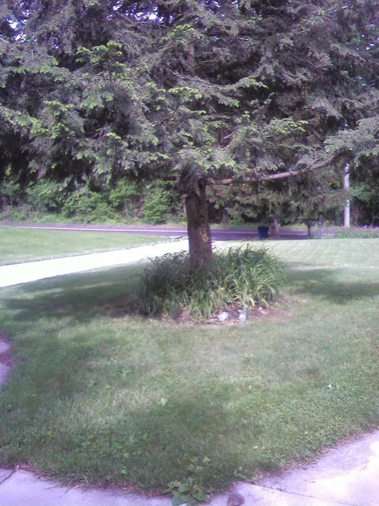 Local yard cleanup service for outdoor upgrades across Littlestown, PA - Marann Jones Garden Design