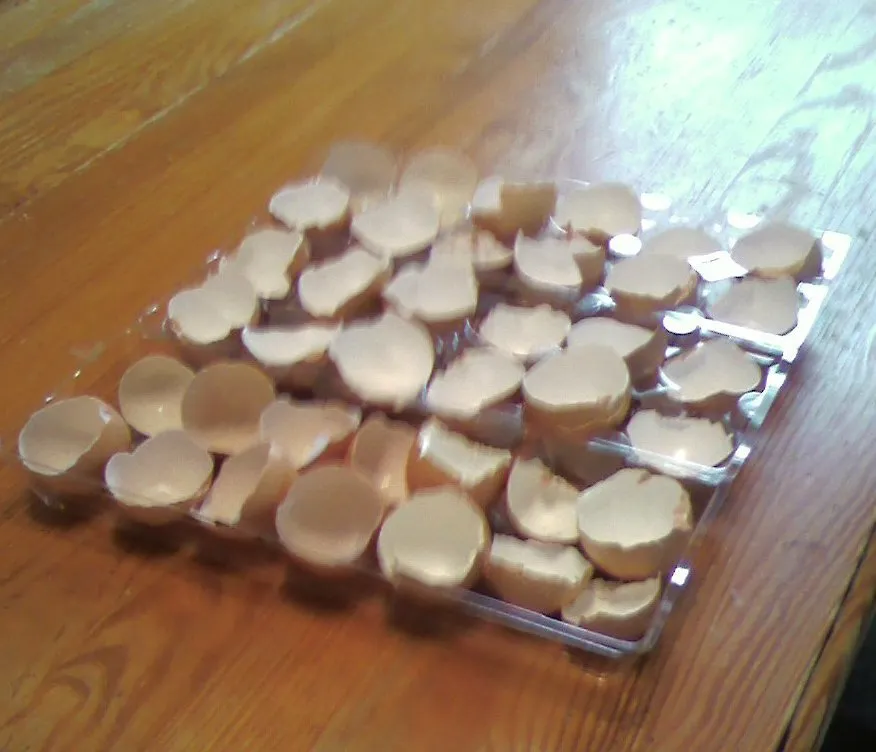 Reliable lawn care service in Littlestown, PA by Marann Jones Garden Design