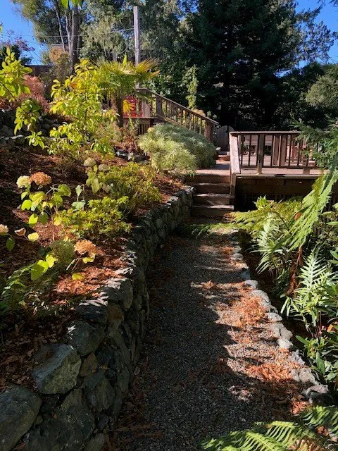 Top-rated lawn care service in Soquel, CA - Marathon Landscape Services