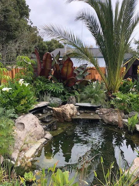 Professional yard cleanup service in Soquel, CA - Marathon Landscape Services