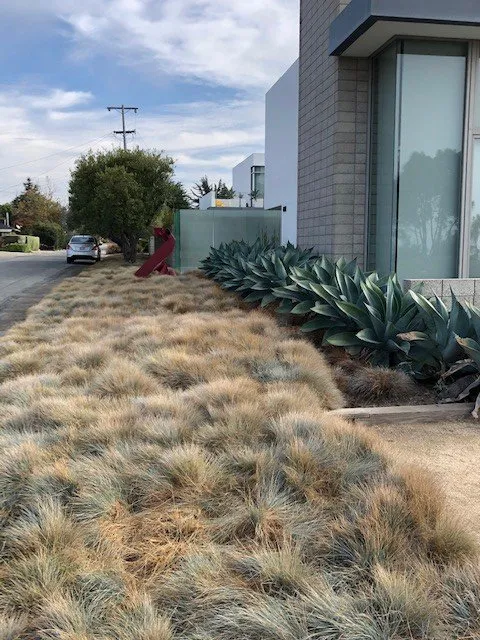 Local landscape installation in Soquel, CA by Marathon Landscape Services
