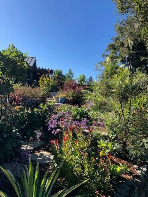 Local outdoor landscaping experts serving Soquel, CA - Marathon Landscape Services