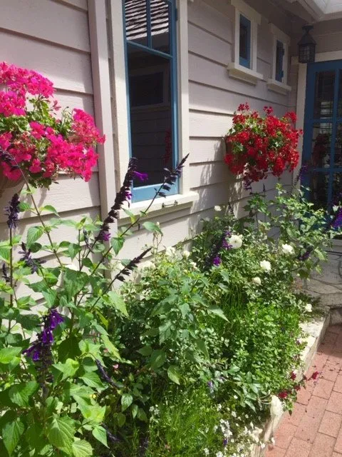 Professional yard maintenance for beautiful yards in Soquel, CA by Marathon Landscape Services