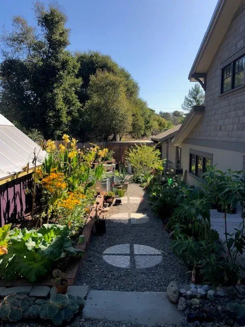 Reliable yard maintenance for outdoor upgrades across Soquel, CA - Marathon Landscape Services