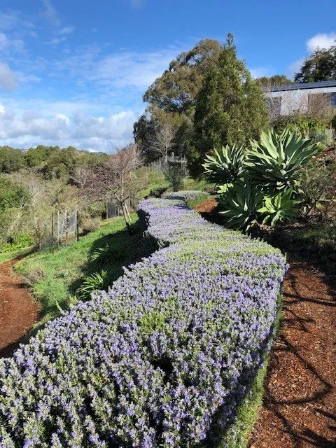 Top-rated lawn mowing service experts serving Soquel, CA - Marathon Landscape Services