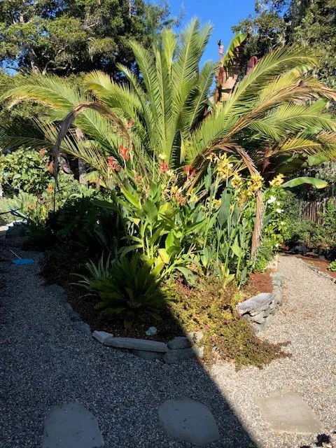 Reliable residential landscaping for beautiful yards across Soquel, CA - Marathon Landscape Services