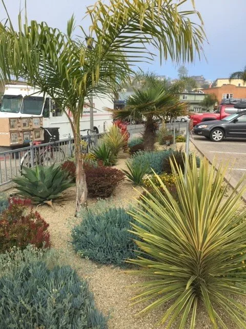 Professional yard cleanup service experts serving Soquel, CA - Marathon Landscape Services