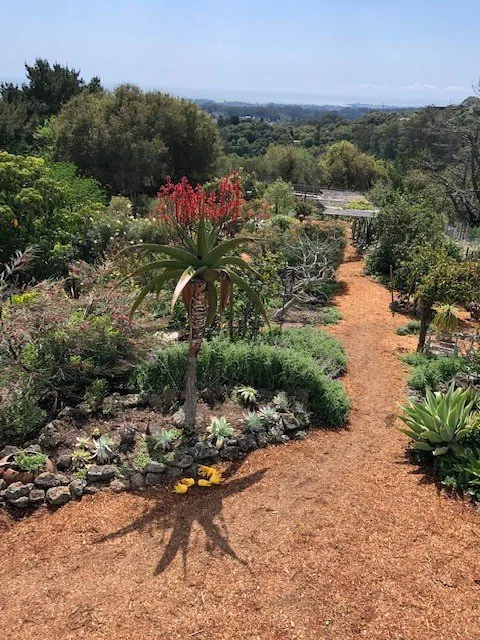 Top-rated yard cleanup service with custom design across Soquel, CA - Marathon Landscape Services