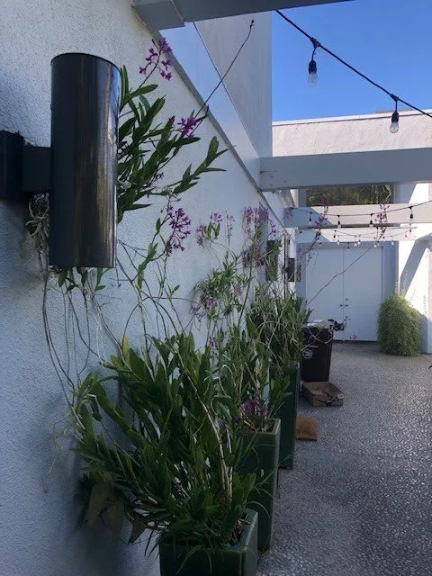 Custom landscaping services for year-round maintenance in Soquel, CA by Marathon Landscape Services