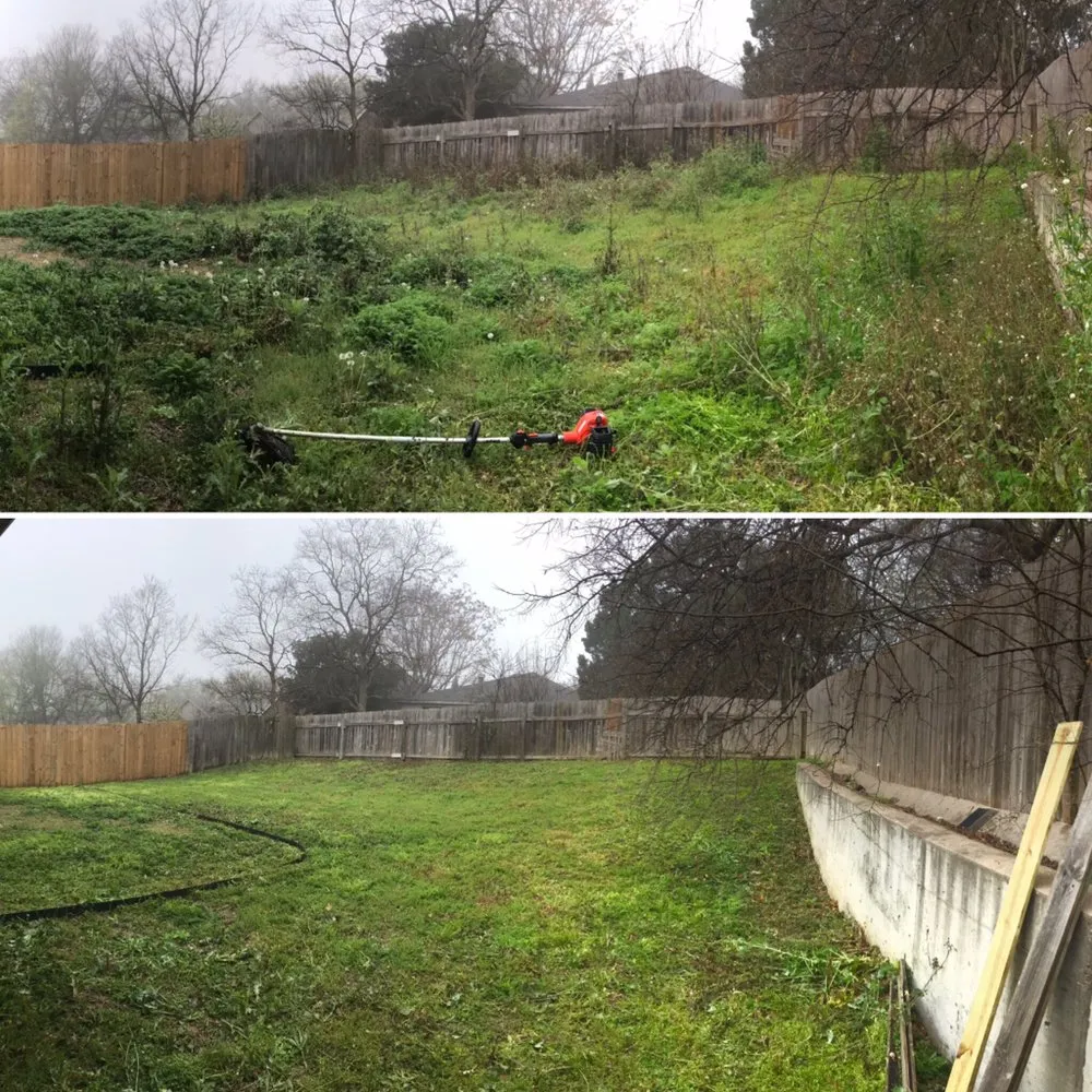 Expert landscape installation in Austin, TX by Marathon Lawn Care & Services