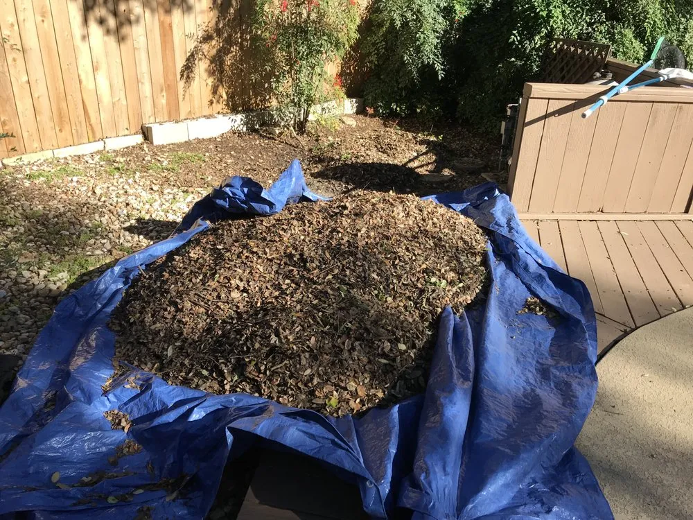 Affordable landscaping services experts serving Austin, TX - Marathon Lawn Care & Services