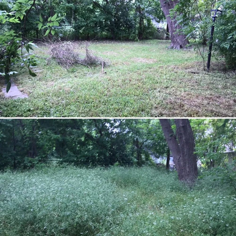 Expert landscape installation experts serving Austin, TX - Marathon Lawn Care & Services