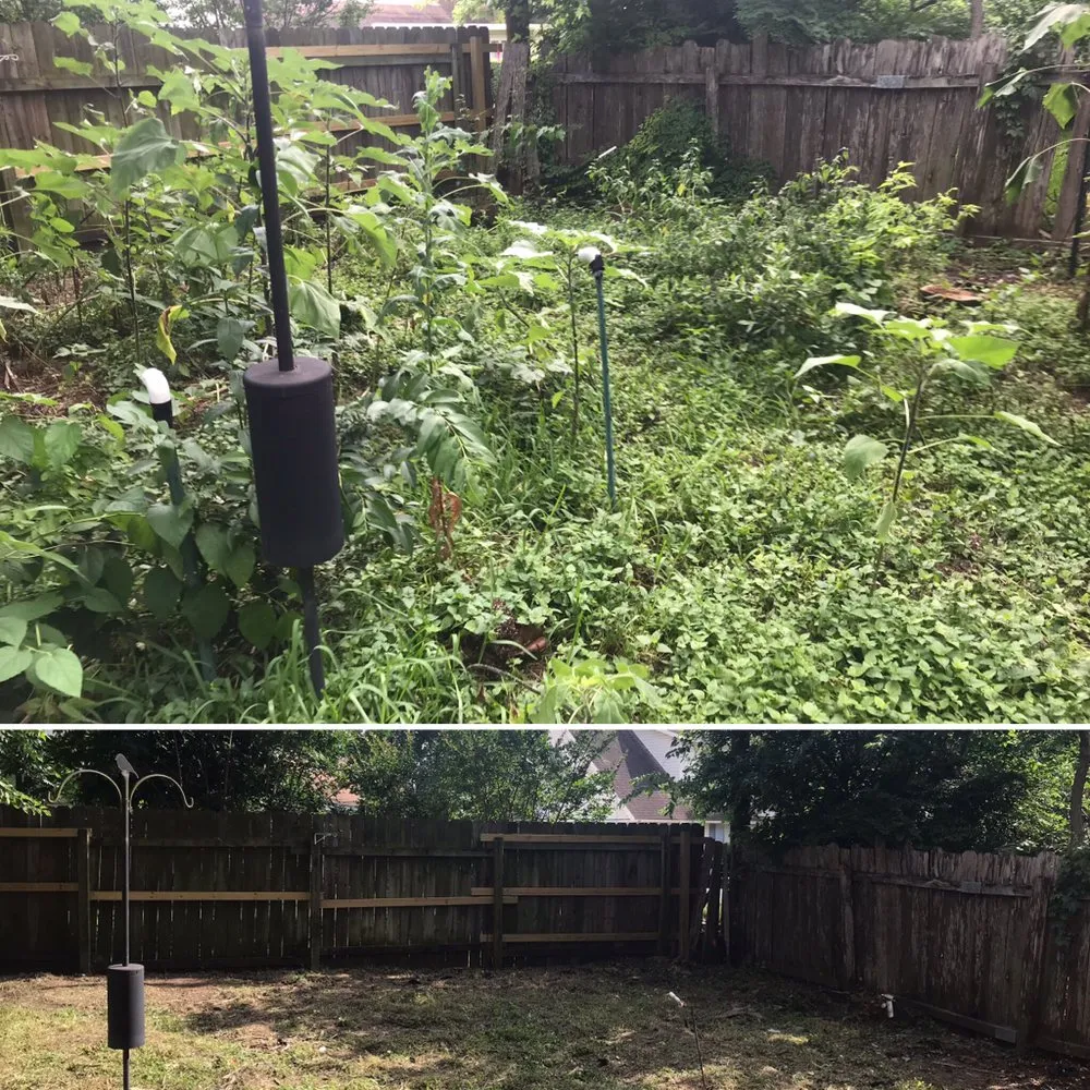 Professional lawn mowing service for beautiful yards in Austin, TX by Marathon Lawn Care & Services