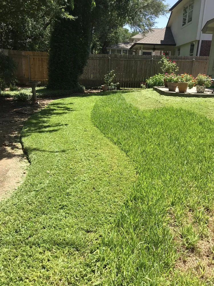 Top-rated yard cleanup service for beautiful yards across Austin, TX - Marathon Lawn Care & Services