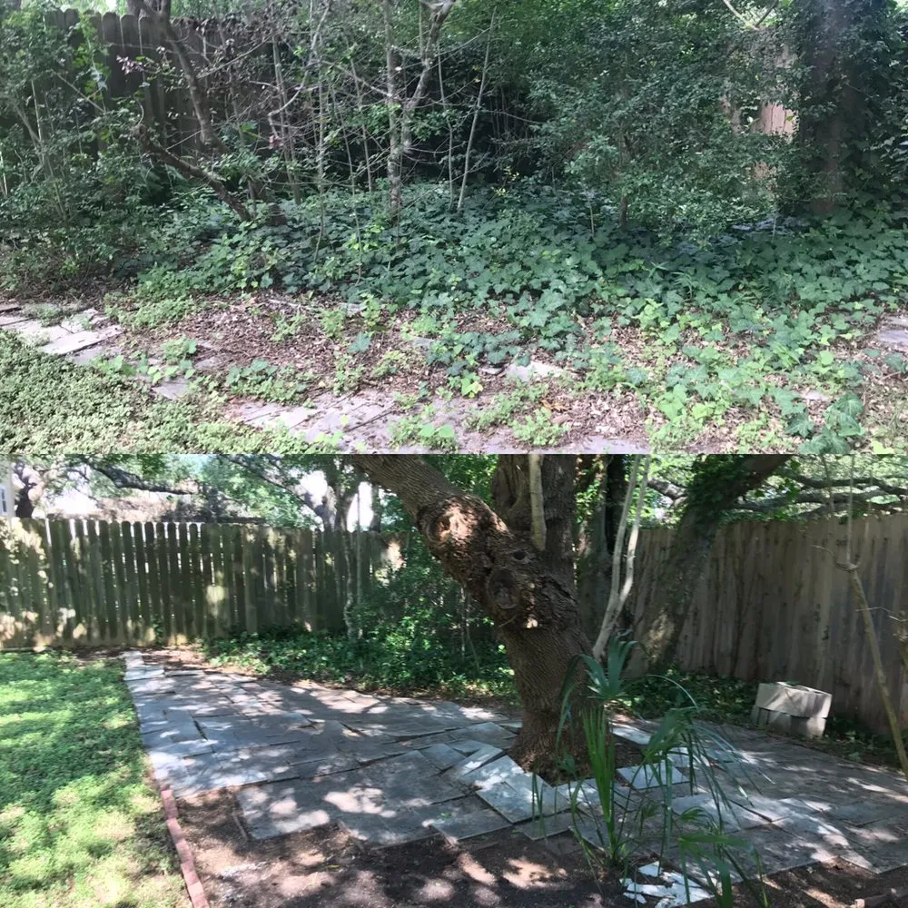 Top-rated landscape design near you in Austin, TX by Marathon Lawn Care & Services