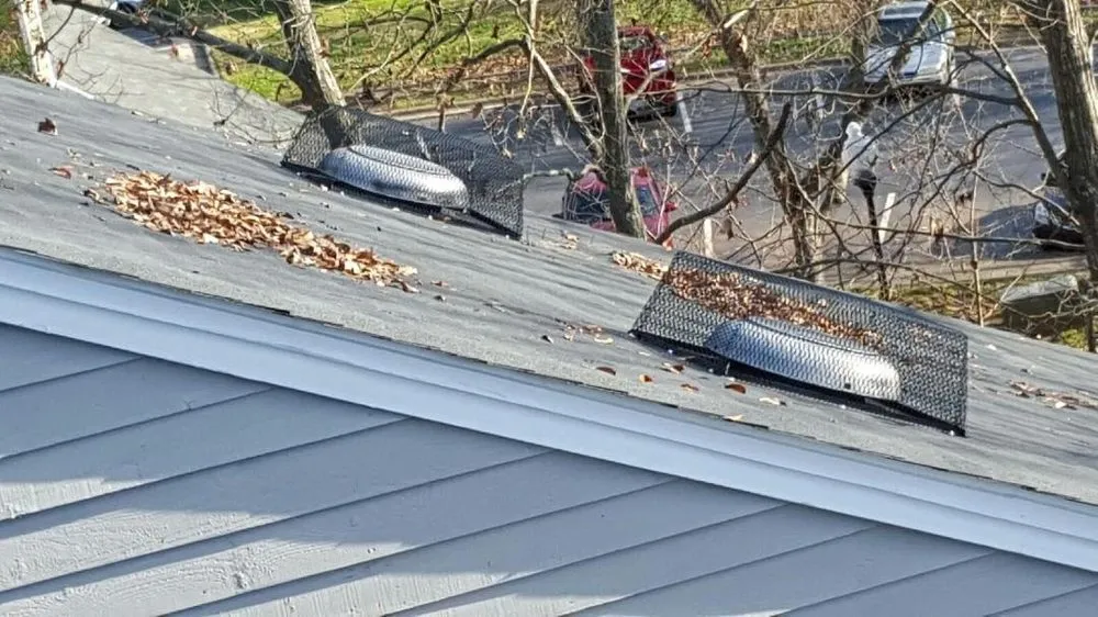 Custom lawn care service for beautiful yards across Clayton, NC - Marathon Mowing & Wildlife