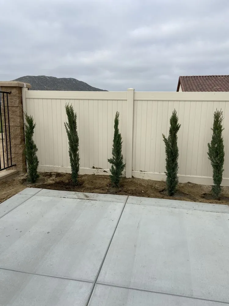 Expert yard maintenance in Nuevo, CA - Marathon Nursery and Landscape