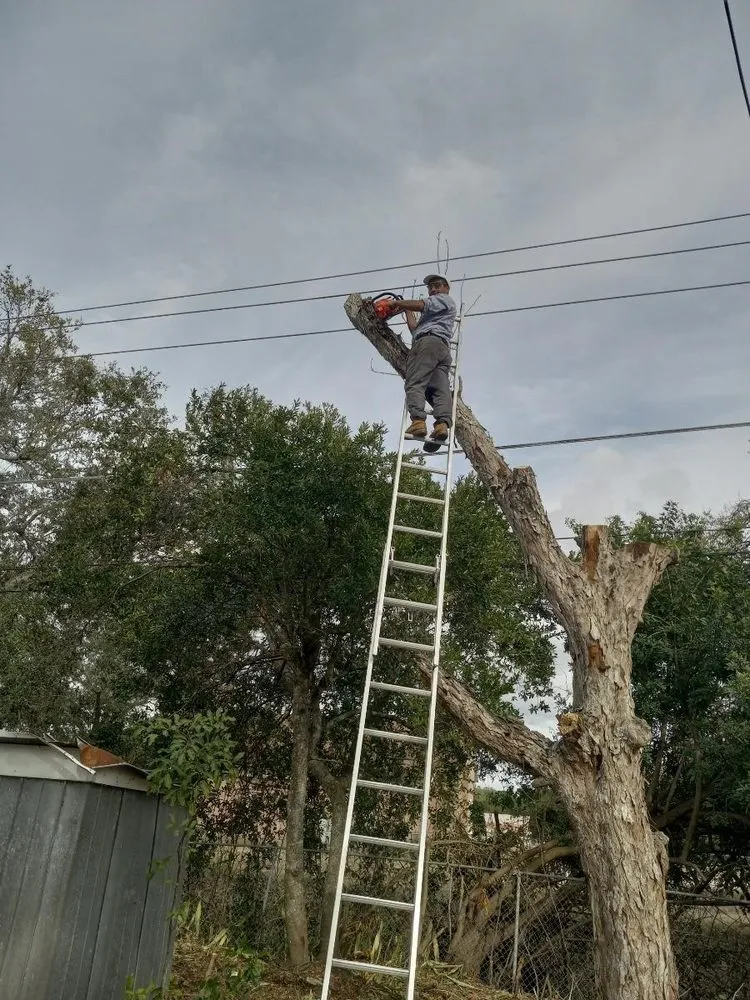 Local landscape installation in Palmetto, FL - Maravilla Lawn Service