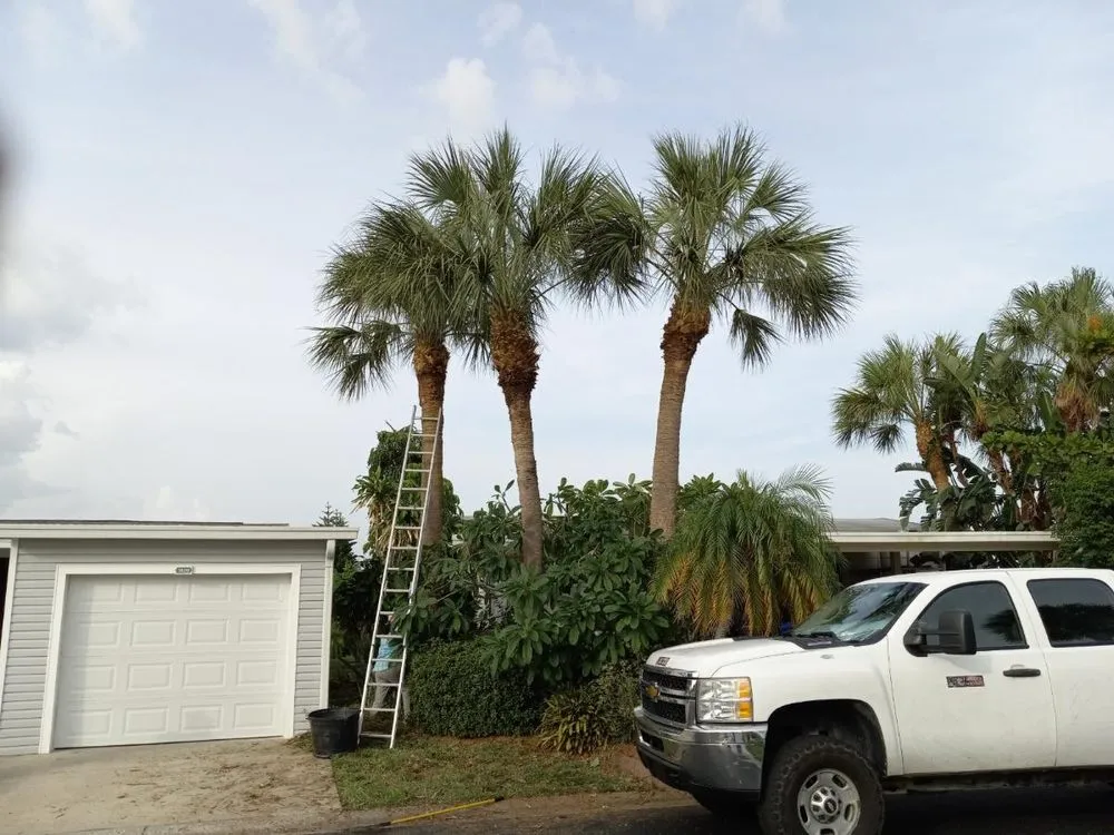 Expert lawn care service in Palmetto, FL by Maravilla Lawn Service