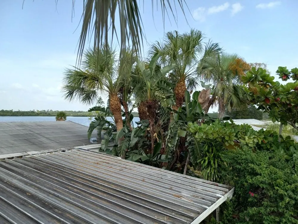 Professional residential landscaping in Palmetto, FL - Maravilla Lawn Service