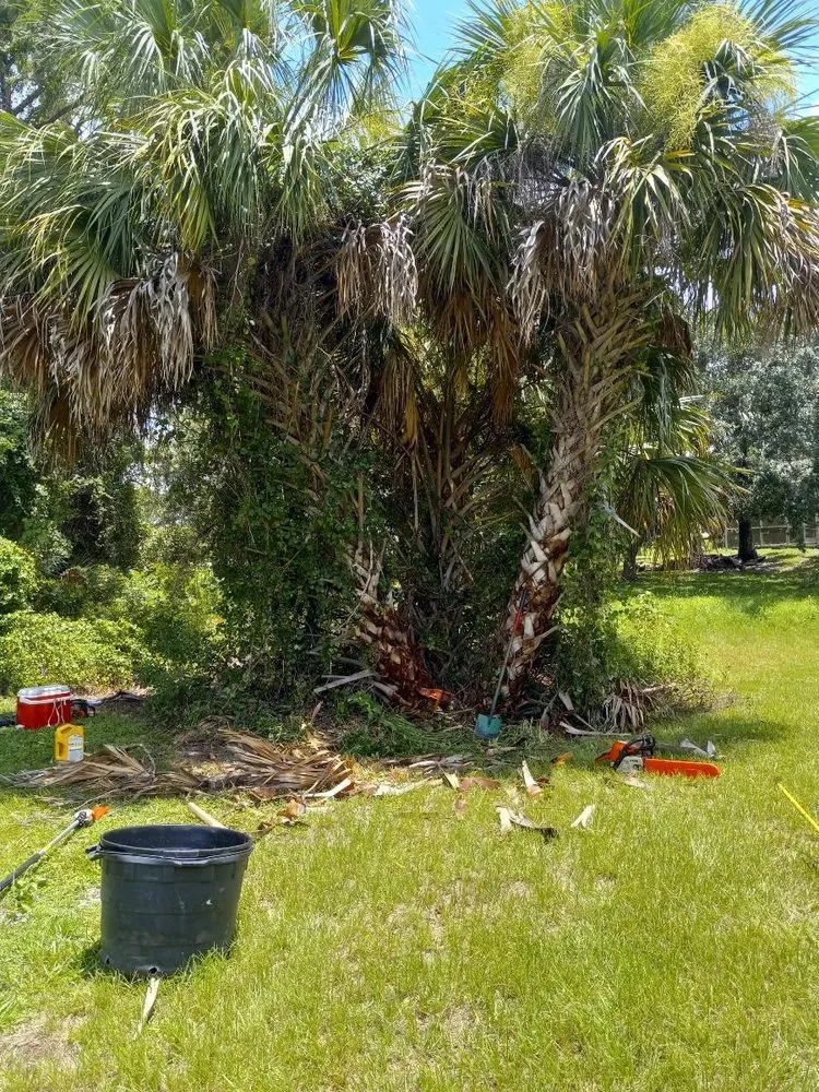 Local outdoor landscaping in Palmetto, FL - Maravilla Lawn Service