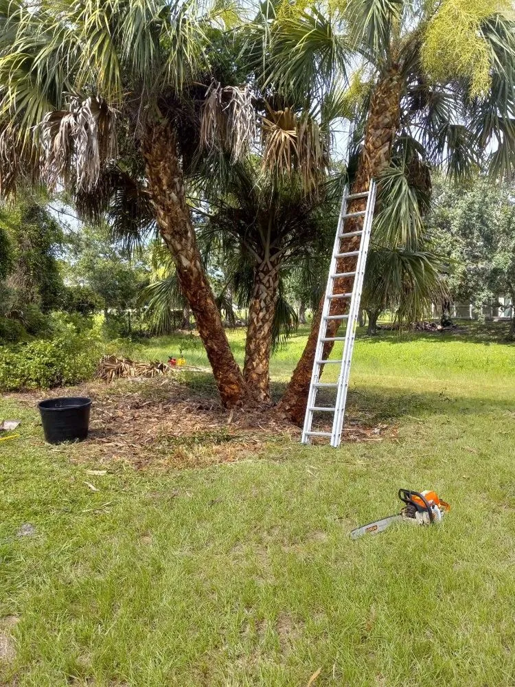 Reliable lawn mowing service in Palmetto, FL by Maravilla Lawn Service