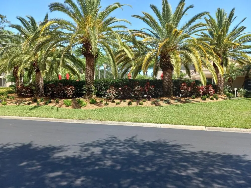 Trusted outdoor landscaping in Palmetto, FL - Maravilla Lawn Service