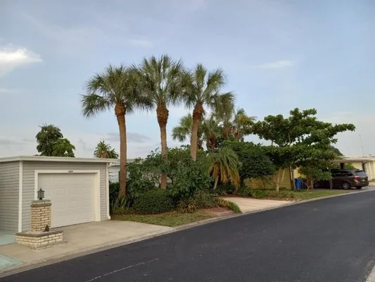 Maravilla Lawn Service Logo