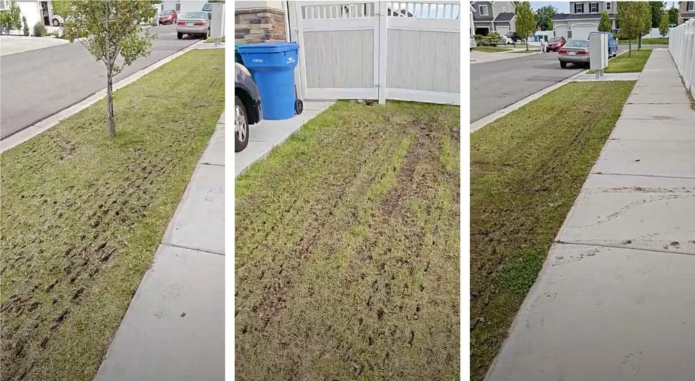 Top-rated yard cleanup service in Orem, UT - Marbella Landscaping