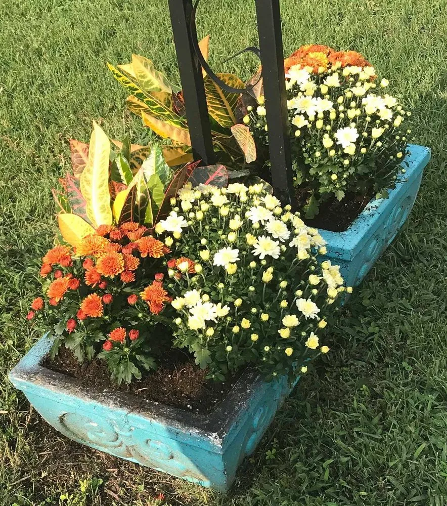 Expert outdoor landscaping for year-round maintenance in Antioch, TN by Marbest Lawn & Landscape Services