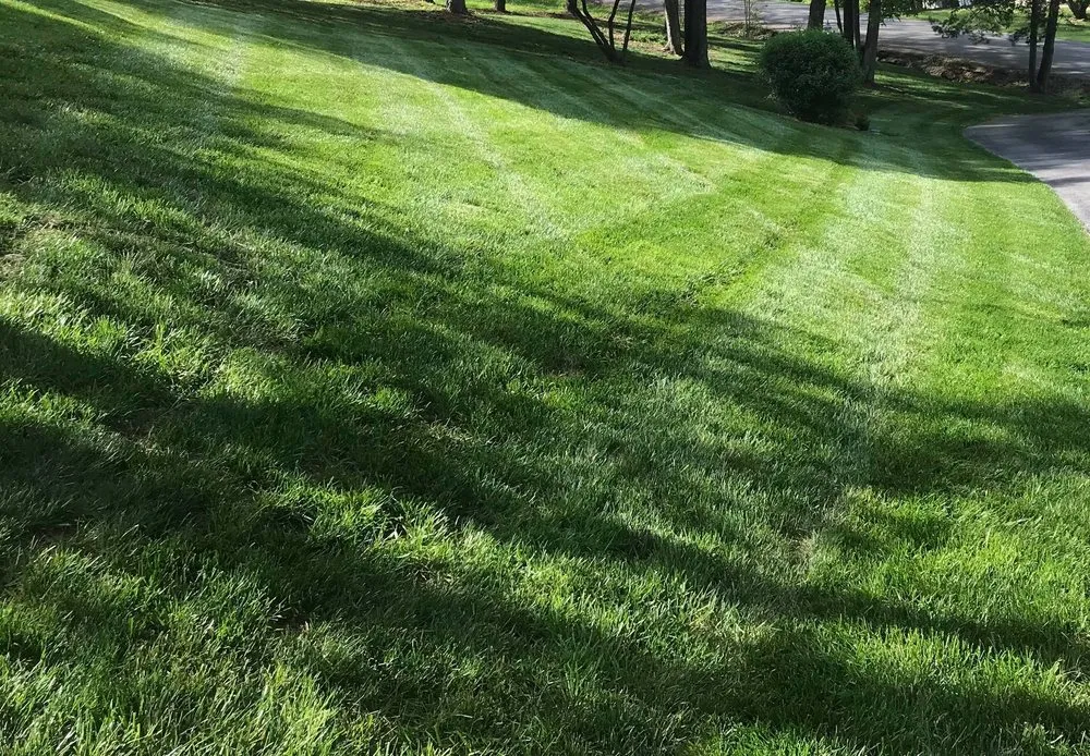 Affordable yard maintenance with custom design in Antioch, TN by Marbest Lawn & Landscape Services