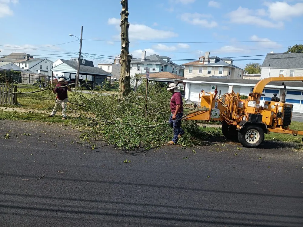 Expert outdoor landscaping in Chester, PA - Marc Landscaping & Design
