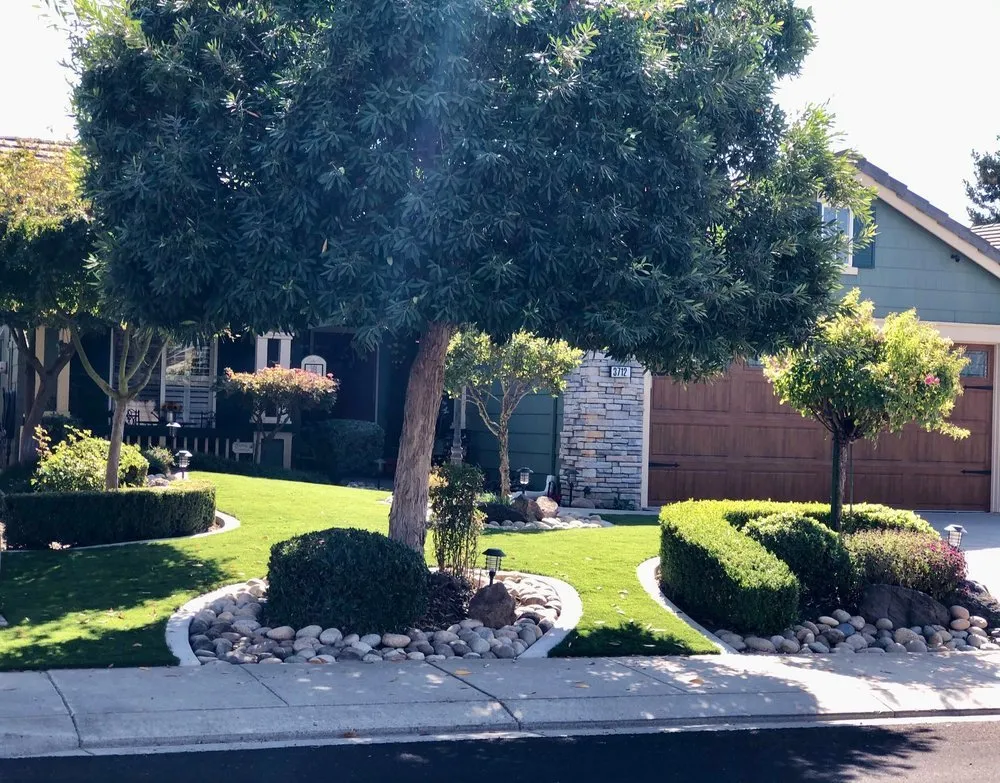 Reliable yard maintenance for residential properties across Patterson, CA - Marc Mcguire Landscaping