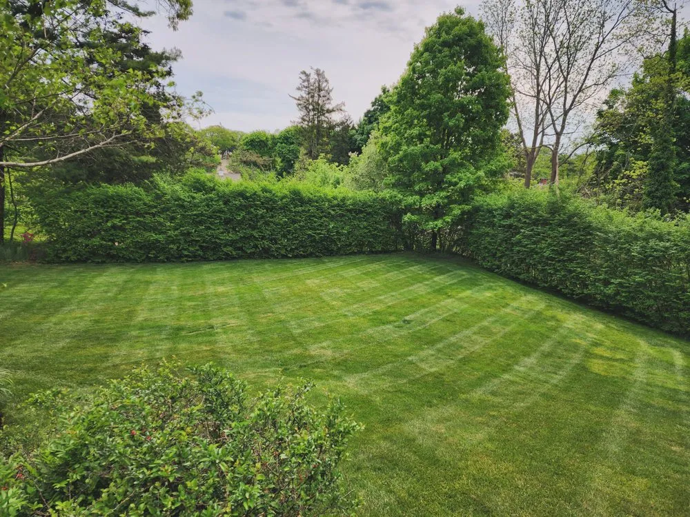 Trusted yard maintenance in West Bridgewater, MA - Marcal Landscaping and Construction