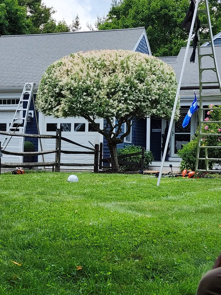 Custom lawn mowing service with custom design across West Bridgewater, MA - Marcal Landscaping and Construction