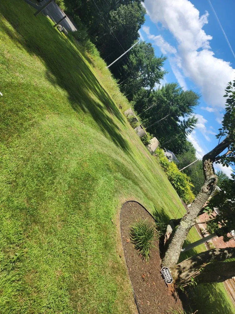 Reliable yard cleanup service in West Bridgewater, MA by Marcal Landscaping and Construction