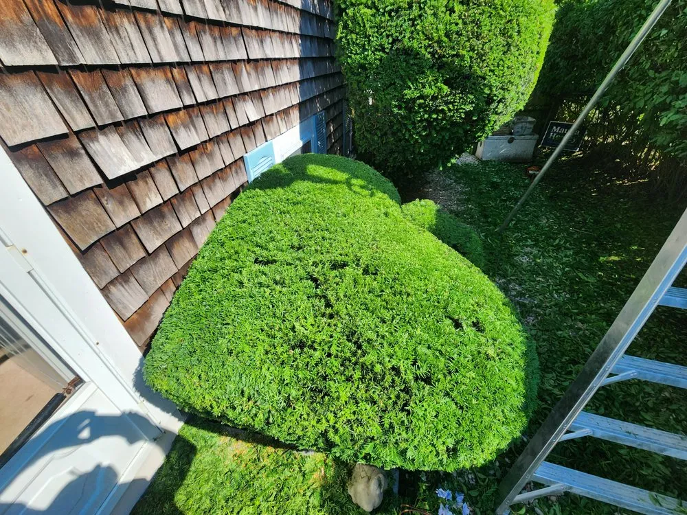 Top-rated garden landscaping in West Bridgewater, MA by Marcal Landscaping and Construction