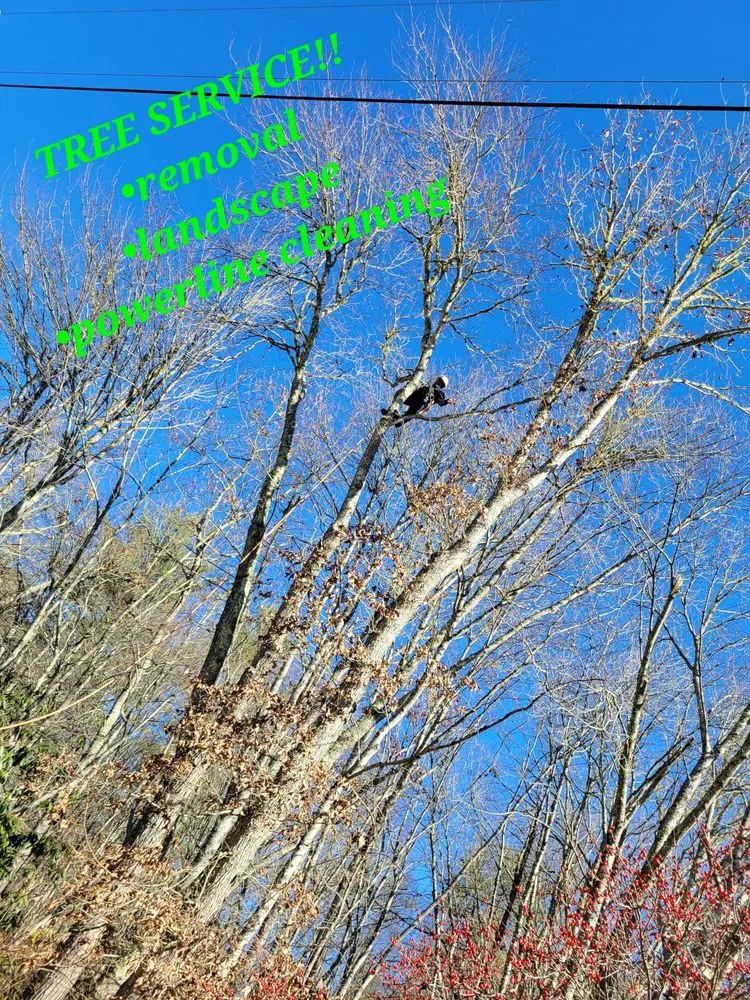 Professional yard maintenance for outdoor upgrades across Miramar, FL - Marcanex