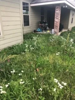 Custom landscaping services for year-round maintenance in Rayne, LA by Marcantel's Lawn Care