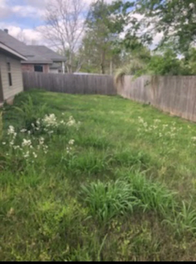 Affordable outdoor landscaping for homes in Rayne, LA by Marcantel's Lawn Care