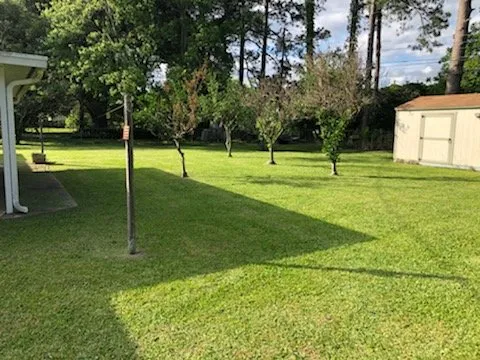 Custom yard maintenance for year-round maintenance in Rayne, LA by Marcantel's Lawn Care
